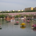 我的相册
