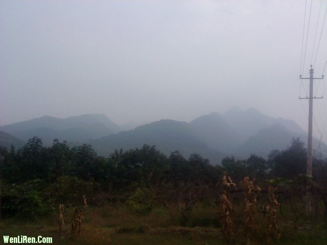 DSC00260.JPG