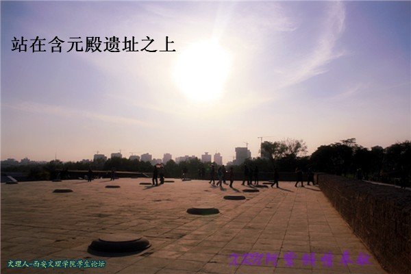照片 245_副本.jpg
