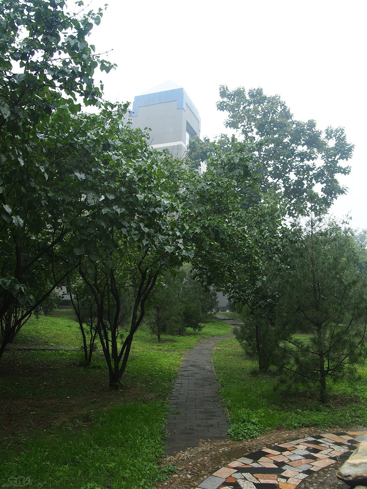 P1010725.JPG