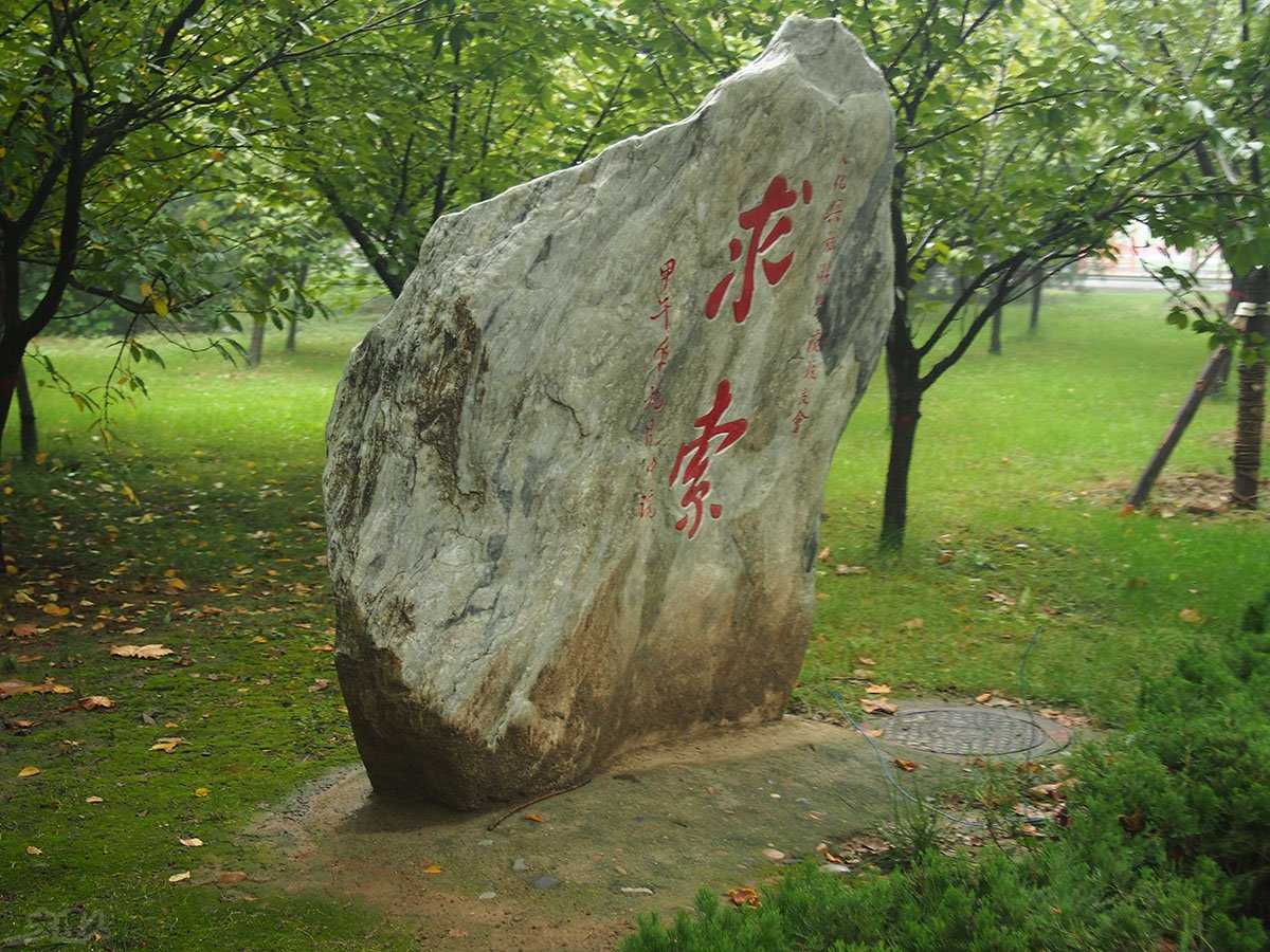 P1010753.JPG