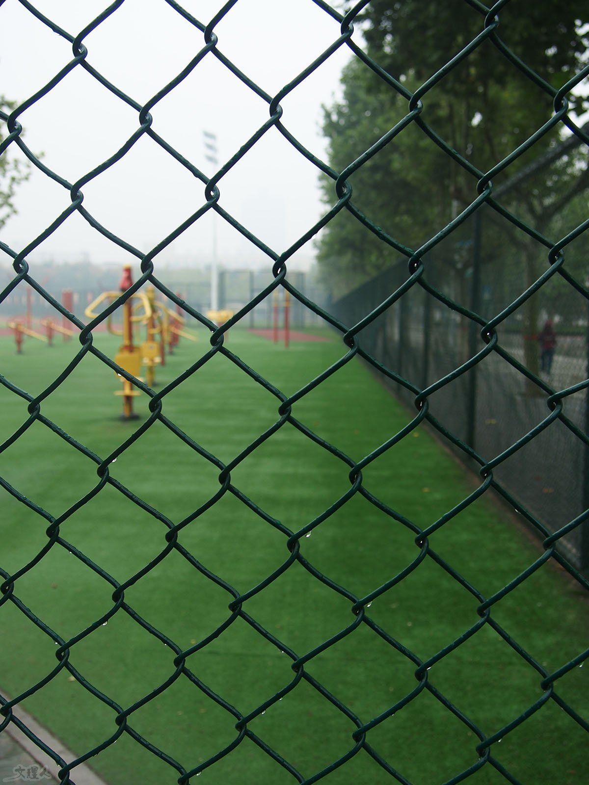 P1010760.JPG
