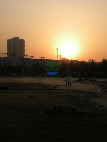 D8C4DE16A2B8CF08F867B3ABEFB5736D_800.jpg