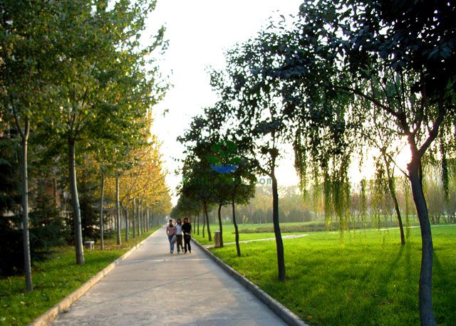 学院东围墙5.jpg