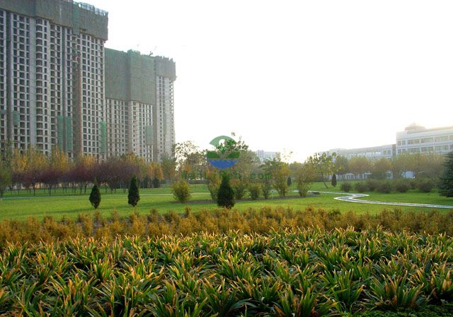 学院 东围墙1.jpg