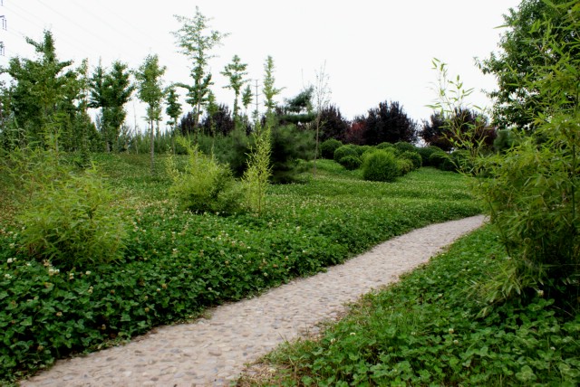 DSC01295-1.JPG