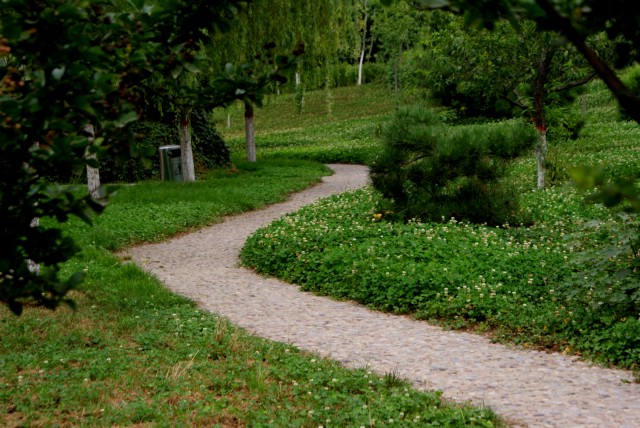 DSC01296-1.JPG