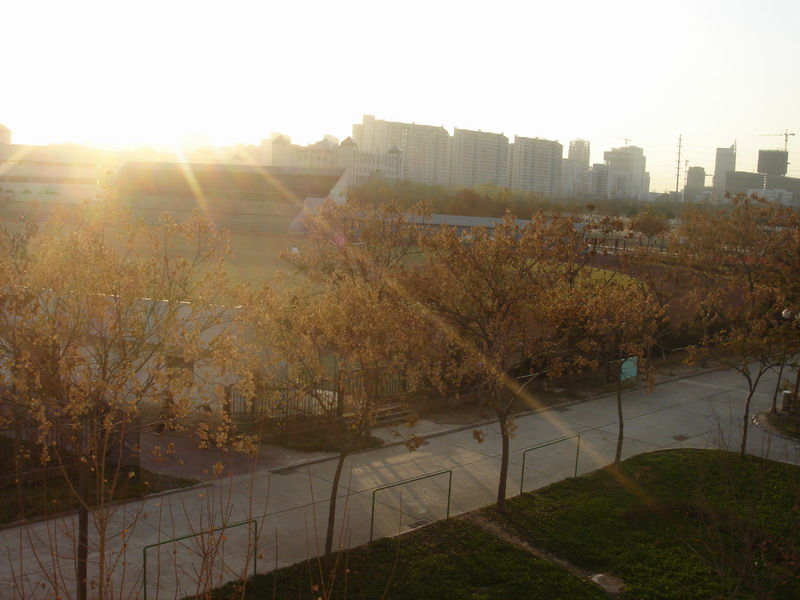 DSC04614.JPG