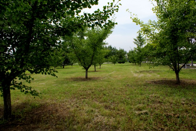 DSC01301-1.JPG