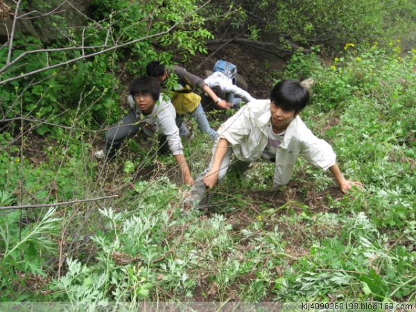 加油.jpg