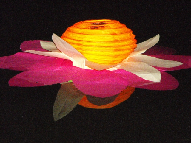 DSCF0232.JPG