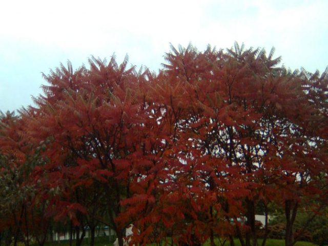 03.jpg