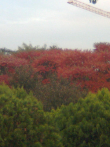 06.jpg