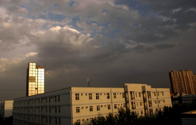 181.JPG