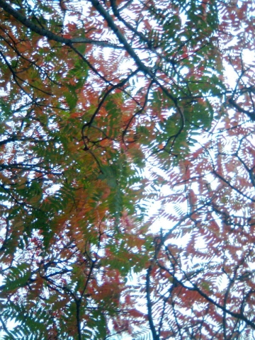 01.jpg
