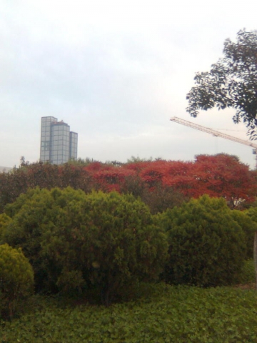 04.jpg