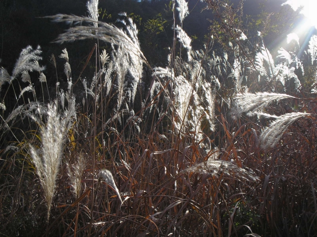 P1010102.JPG
