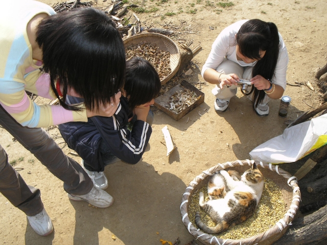 P1010194.JPG
