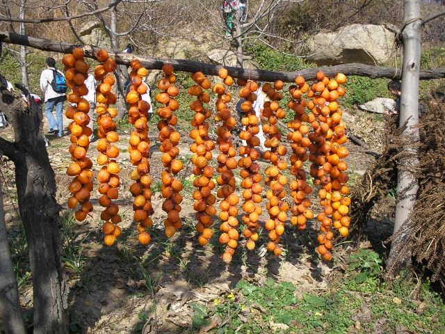 P1010107.JPG