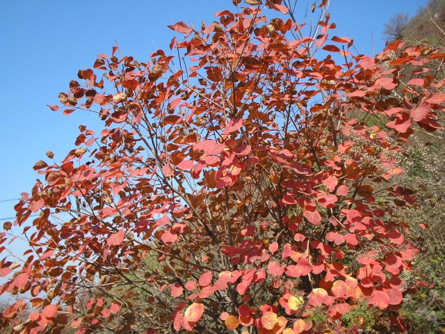 P1010150.JPG