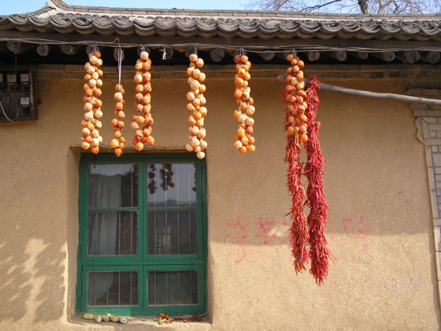 P1010208.JPG