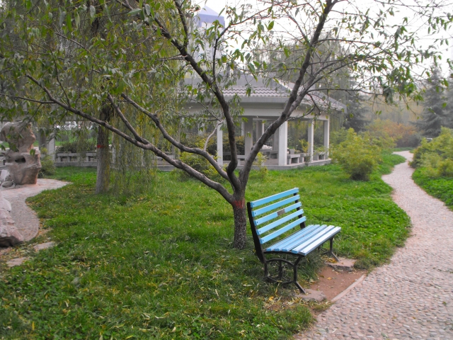 DSCF0663.JPG