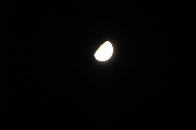 DSCF0656.JPG
