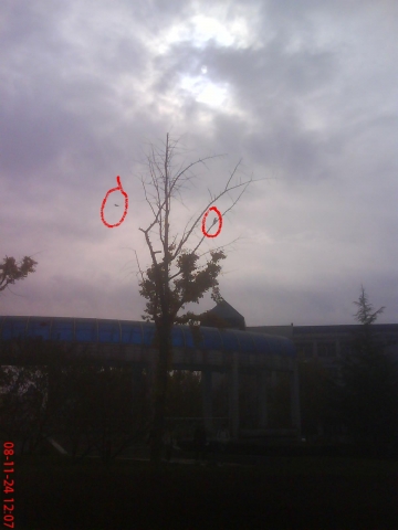 DSC01570.JPG