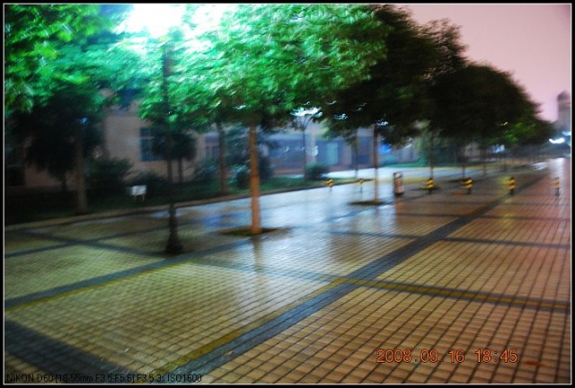 DSC_0350_nEO_IMG.jpg