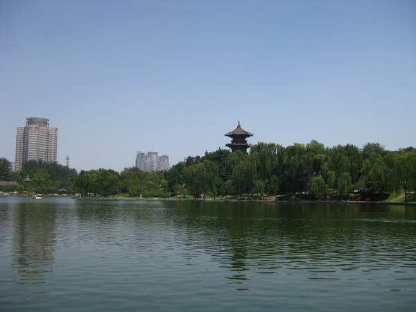 xingqing.JPG