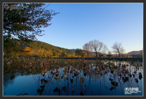 20081220_243b319d2ab7178934e2gTGJdQWaBVZY.jpg.thumb.jpg