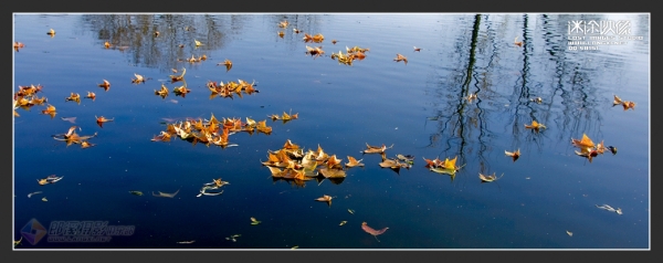 20081220_d945b8302cd94d562f426C9z7uX7dyve.jpg.thumb.jpg