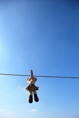 20081225_6db8b9066692a0b9ea81MzJMLLaavbr1.jpg.thumb.jpg