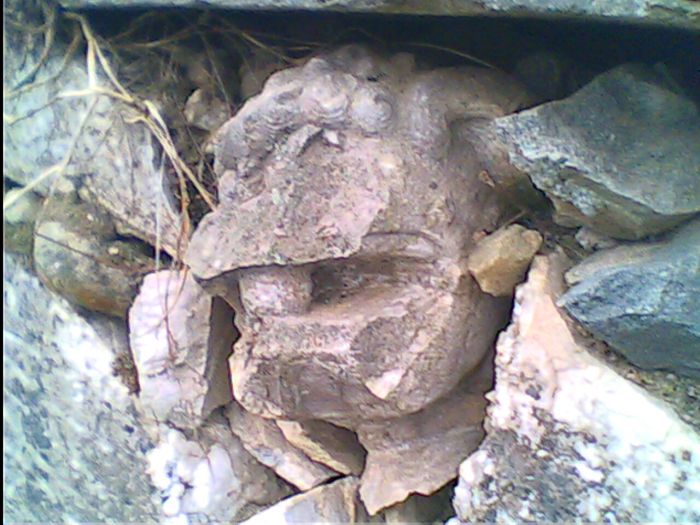 IMG1610A.jpg