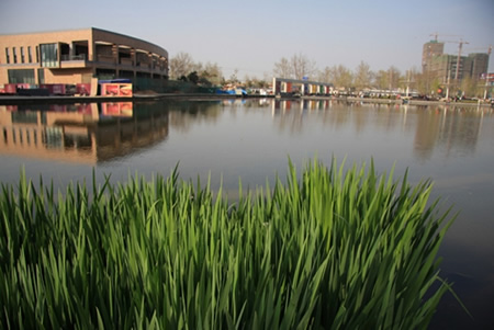 20090405_deb7f0d1228ae5cc13a9tr1S53aFvlSs.jpg.thumb.jpg