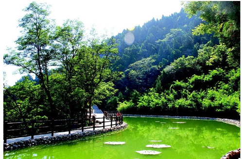 上善湖1.JPG