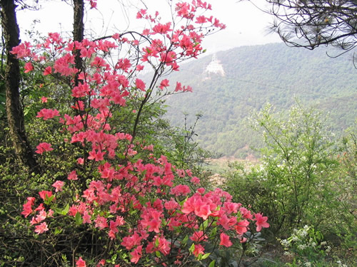 骊山春景.jpg