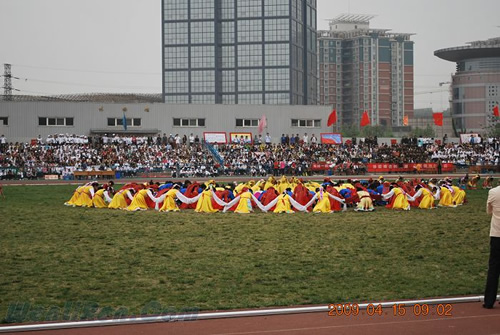 DSC_0279.jpg