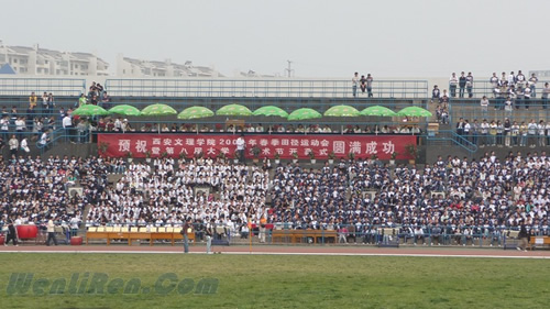 P1090281.jpg