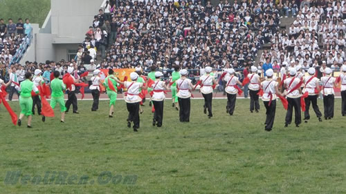 P1090341.jpg