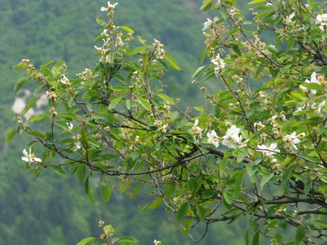 DSCF0069.JPG
