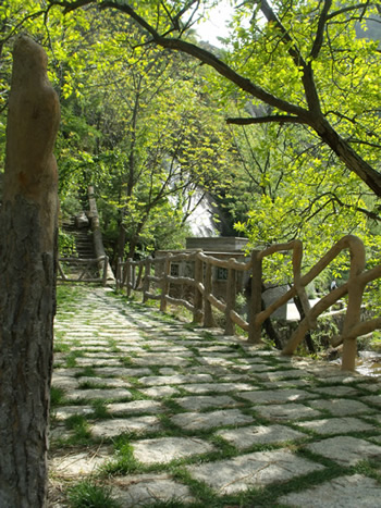 DSCF0150.JPG