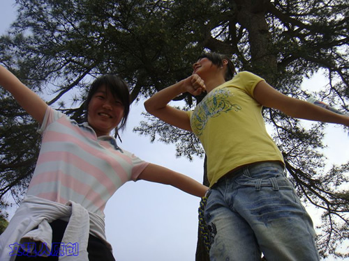 DSC01074.jpg