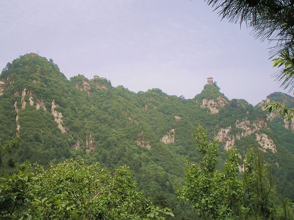 P1010082.JPG