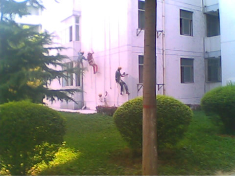 IMG1928A.jpg
