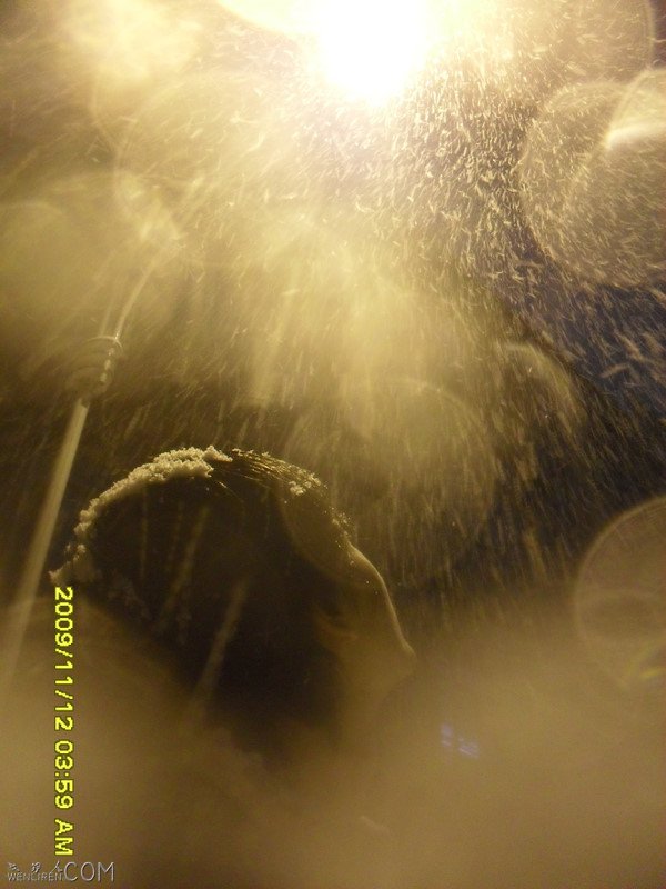 雪.jpg