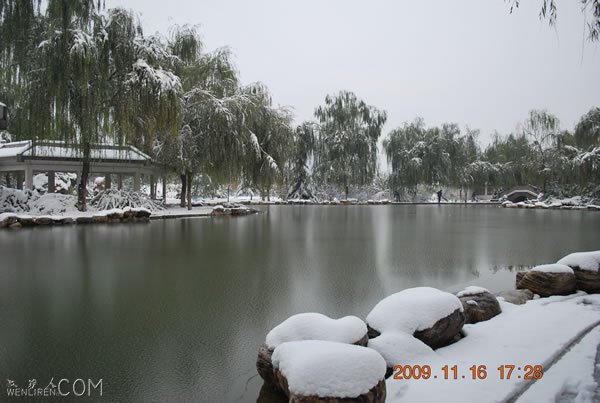 DSC_0924.jpg