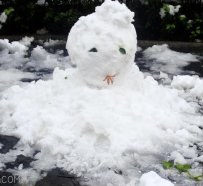 雪人雪人