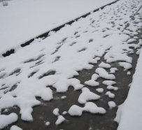 入冬的第一场雪